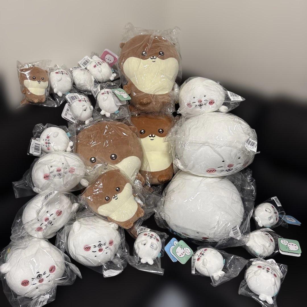 ほぼ未使用　140サイズぱんぱん　ナガノ　水族館　あざらし　カワウソ　D賞　シオ