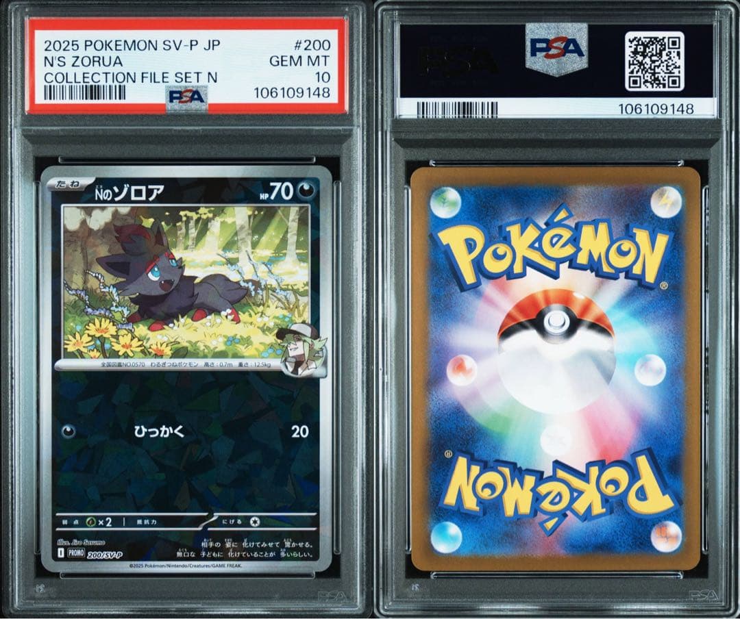希少　プロモ　PSA10 ポケモンカード リーリエのキュワワー　Nのゾルア