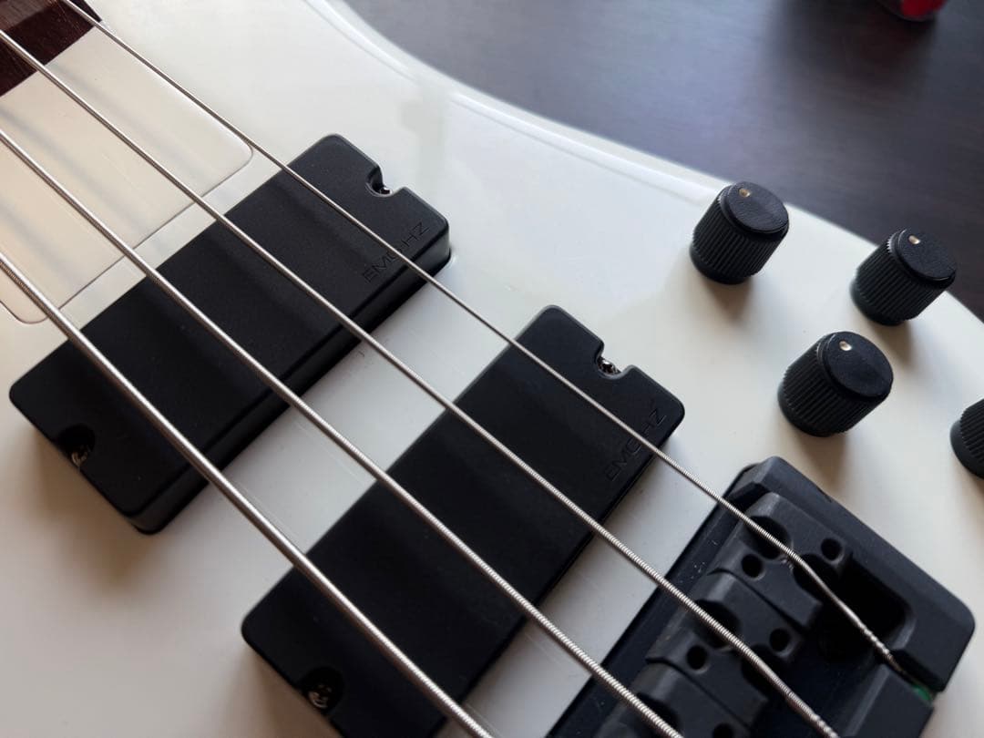 【チェコ製】Spector EURO REBOP 4【弦交換セットアップ済】