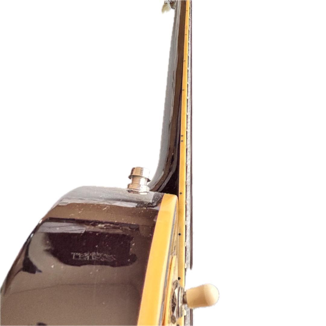 Maison レスポールタイプ　エレキギター　弦新品、送料込み