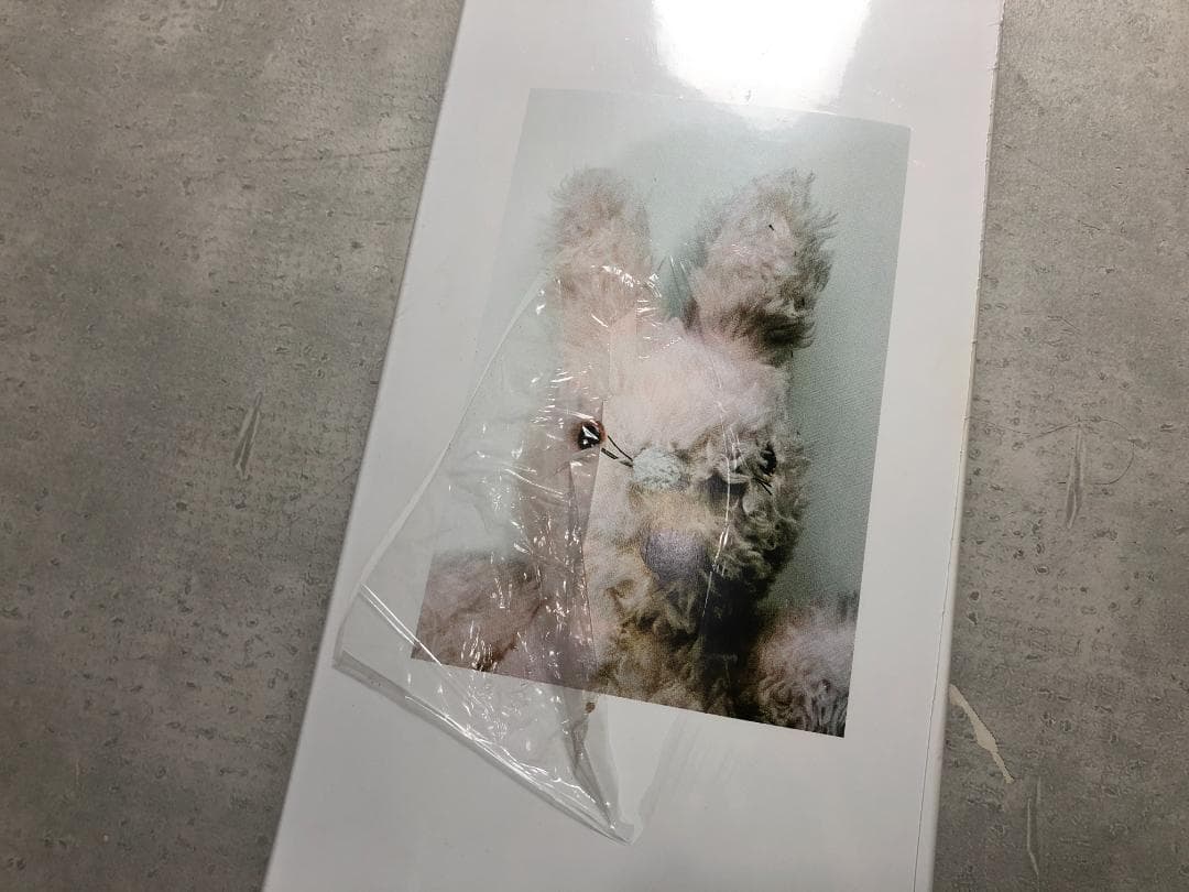 Supreme Mike Kelley デッキ AhhYouth 38-3-38