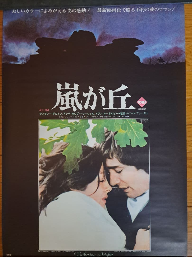 ベニスに死す、太陽がいっぱい、悲しみの青春　他ポスター10枚