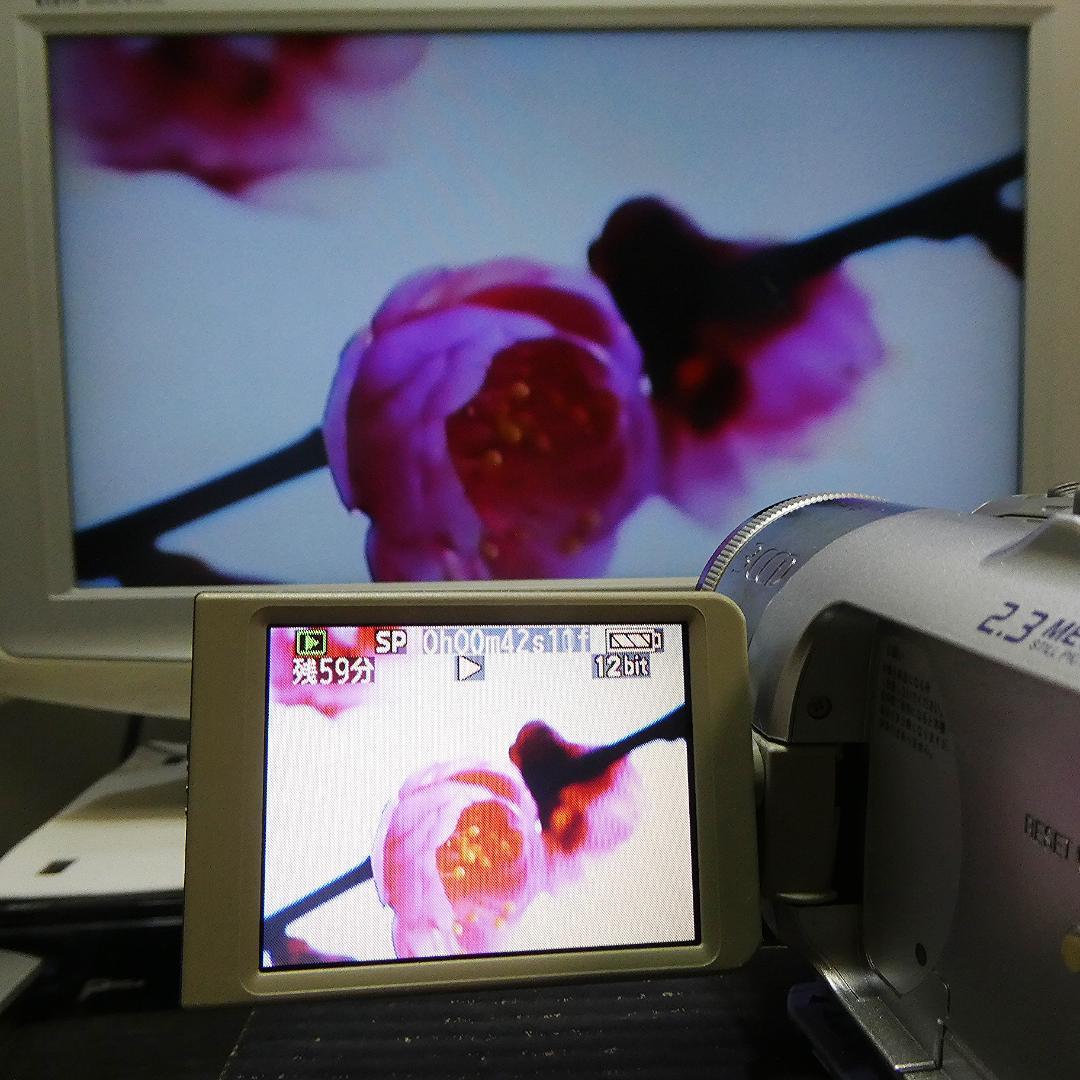 動作良好 パナソニックNV-GS150 MiniDVビデオ　DVD化に最適