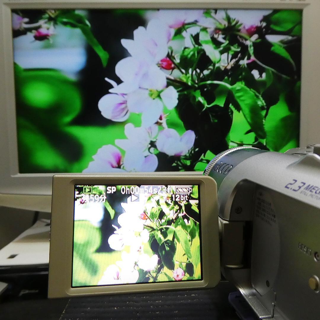 動作良好 パナソニックNV-GS150 MiniDVビデオ　DVD化に最適