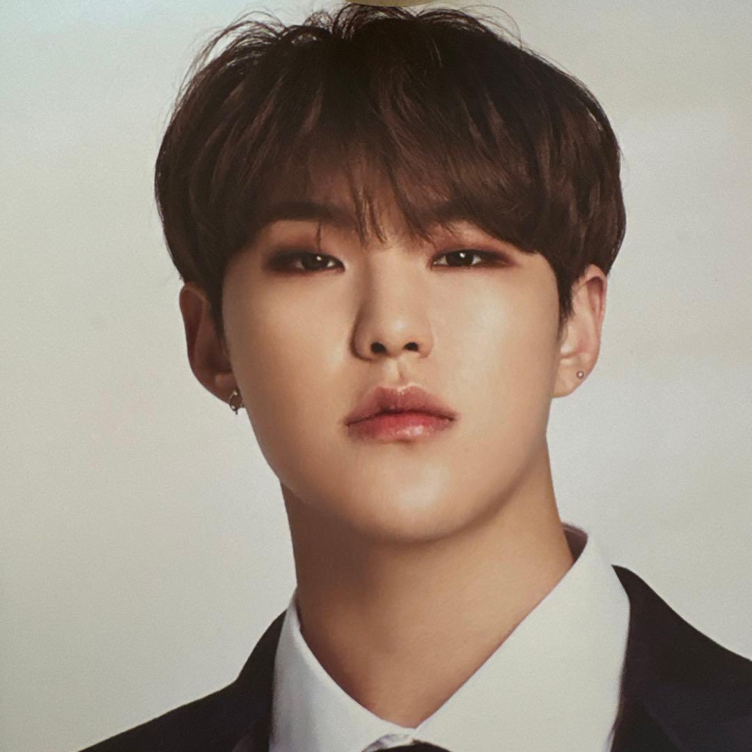 SEVENTEEN コンサート ポスター　ホシ