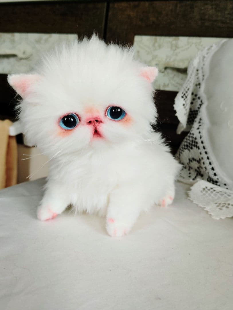 よちよち〜短足♡ころころボディ♡エキゾチック子猫ちゃん♡アートドール♡ぬいぐるみ