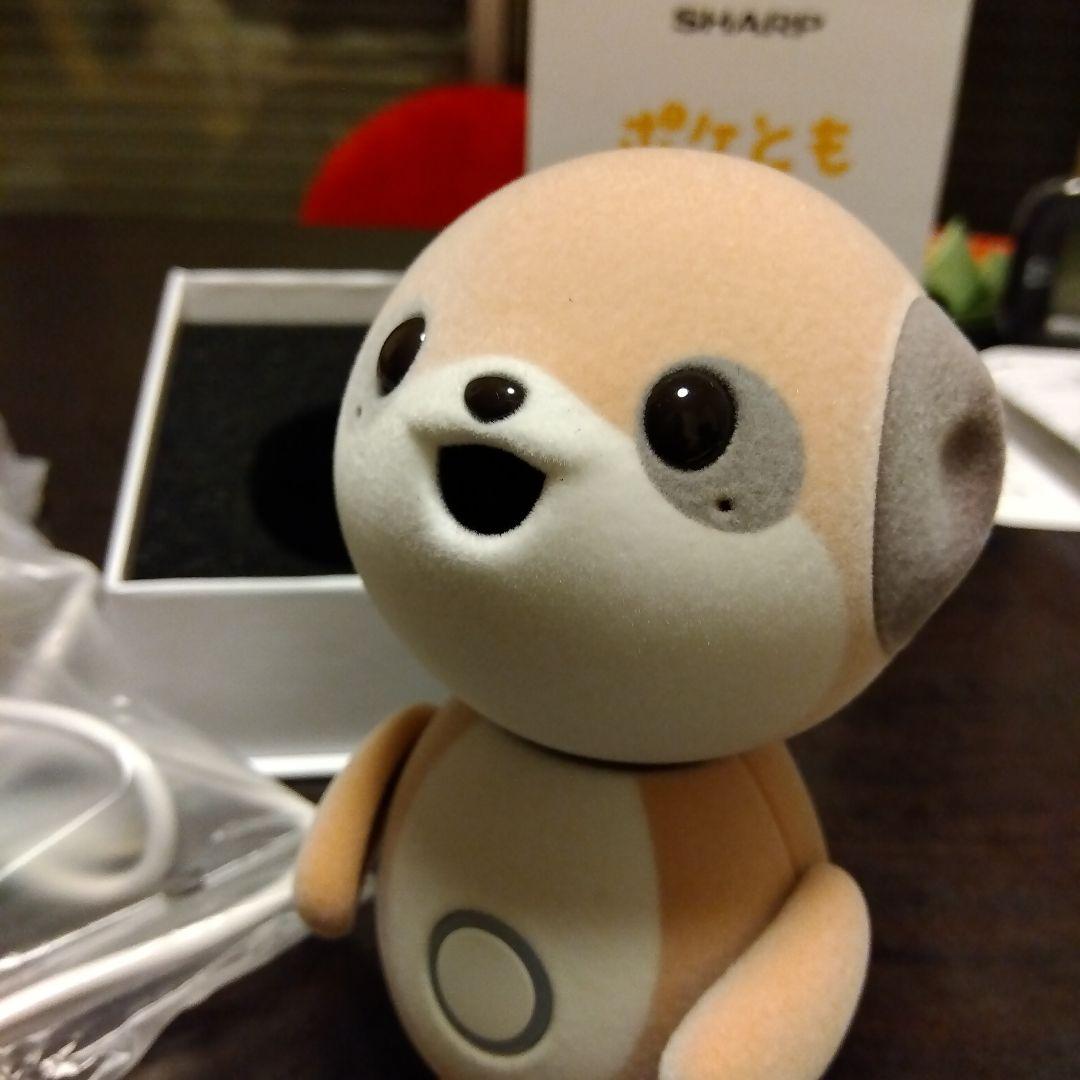 コンパニオン ロボット ポケとも SR-C01M-W と充電アダプターのセット