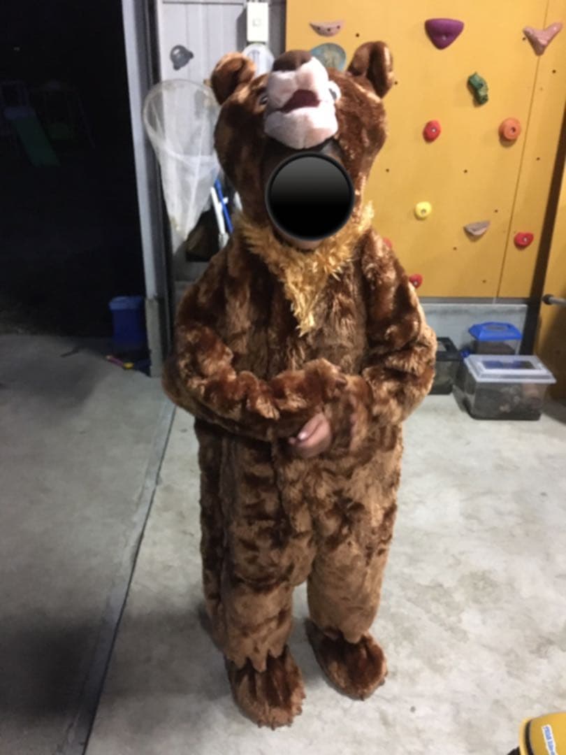 激レア！　限定品！　ディズニー　Disney ブラザーベアー　着ぐるみ　防寒