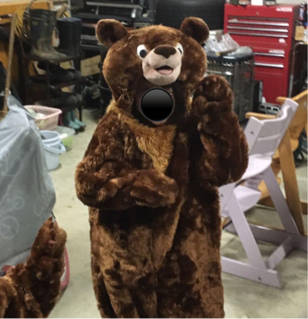激レア！　限定品！　ディズニー　Disney ブラザーベアー　着ぐるみ　防寒