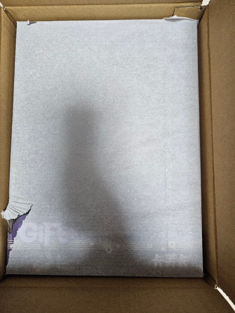 未開封 Gift+ 崩壊スターレイル カフカ スターレイル 1/8フィギュア