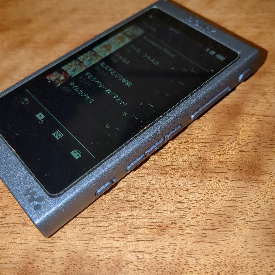 SONY NW-A45HN 16GB デジタルオーディオプレーヤー