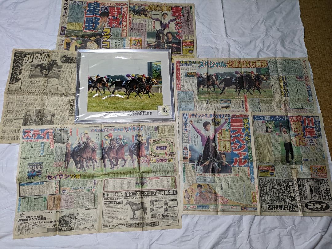 スペシャルウィーク　武豊　天皇賞秋　競走馬　写真　パネル　額縁　スポーツ新聞付き