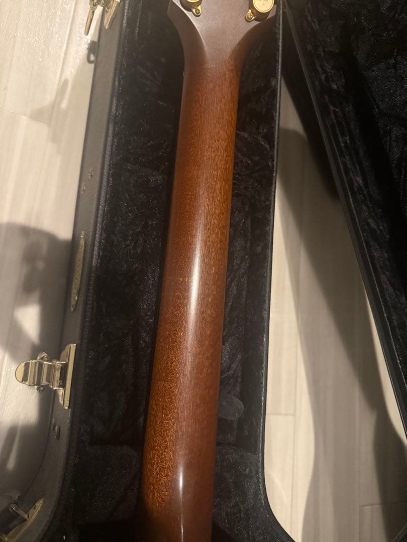 ギター breedlove American c25