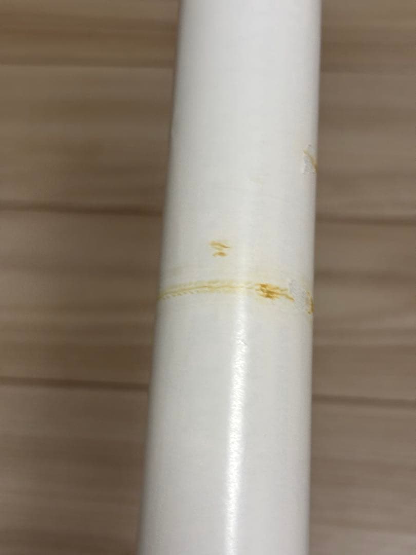 【超希少】ヴァルキリープロファイル　レナス　販促ポスターB2