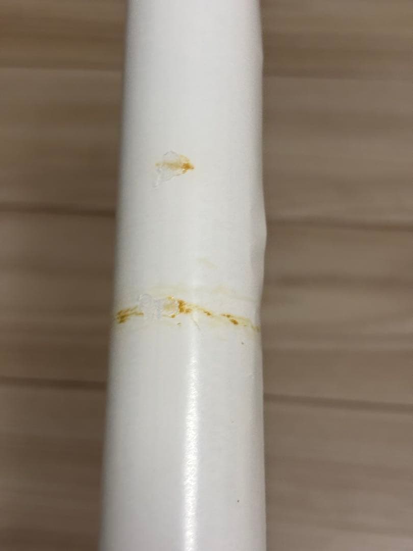 【超希少】ヴァルキリープロファイル　レナス　販促ポスターB2