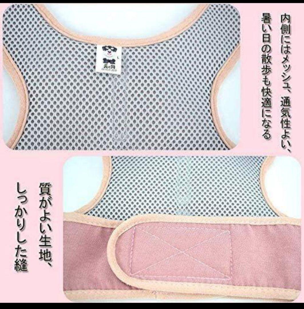 人気ブランド！Kisata リード 一体型 首輪 猫 犬  ハーネス  メッシュ