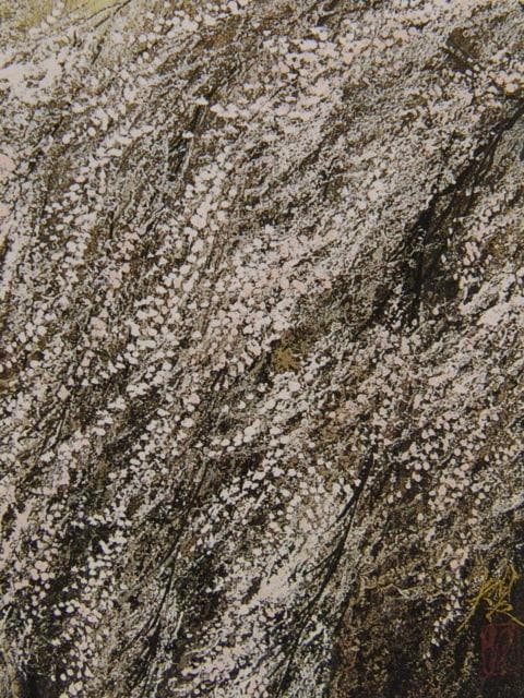 清水規、【桜花富士】、希少画集画より、状態良好、新品高級額装付