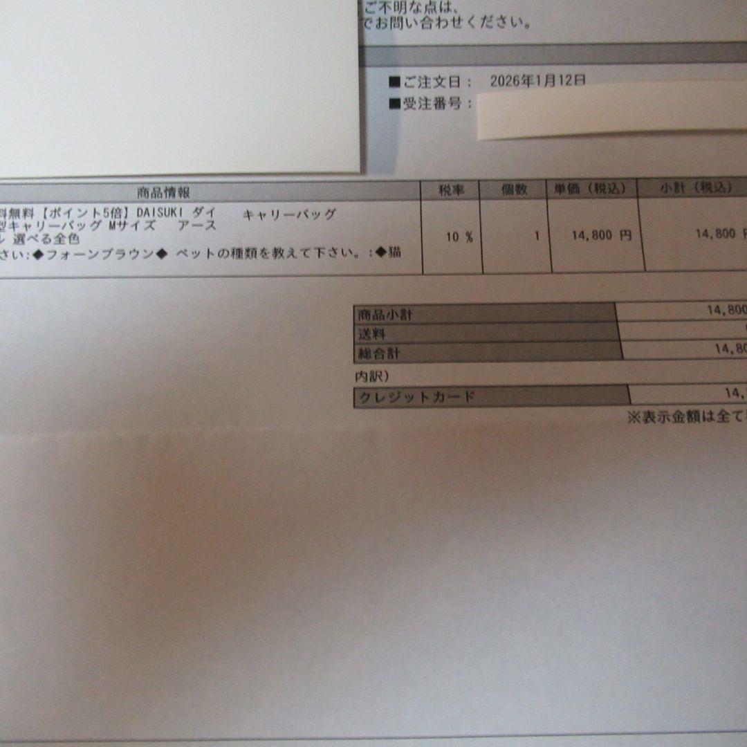 【未使用に近い】ダイスキ　DAISUKI　キャリーバック　Мサイズ