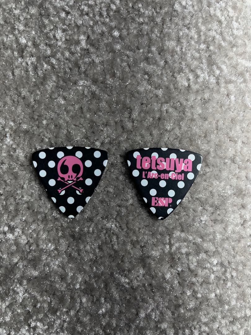 【tomo】EDWARDS E-T-98EL ラルクTETUYAモデル