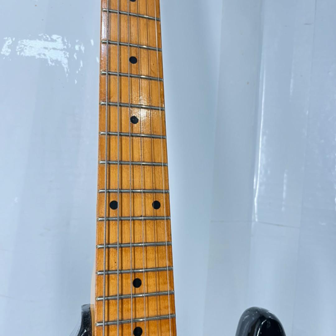 Vision ビジョンVEG-120 日本製 ロングトレモロアーム付属！