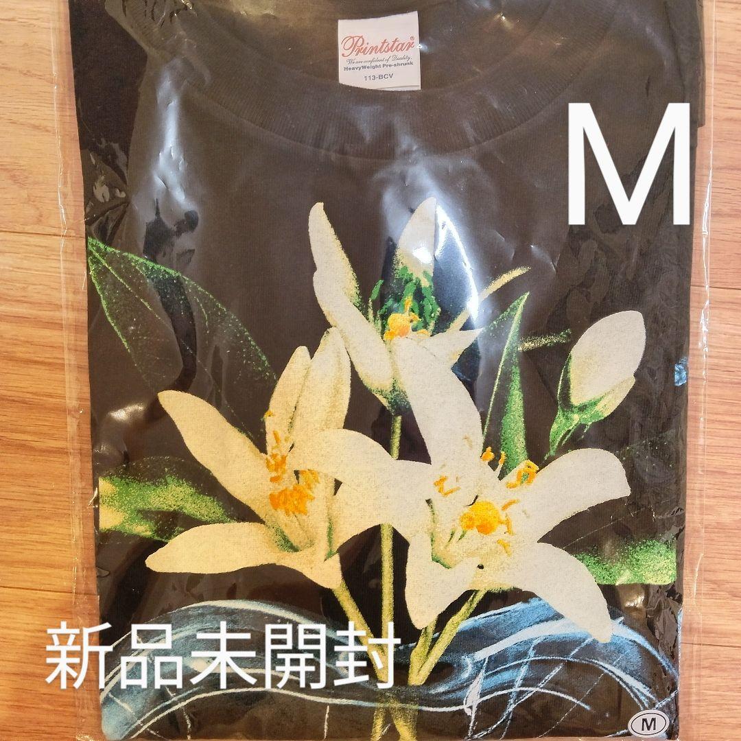 TENBLANK×©SAINT Mxxxxxx スペシャルコラボTシャツ