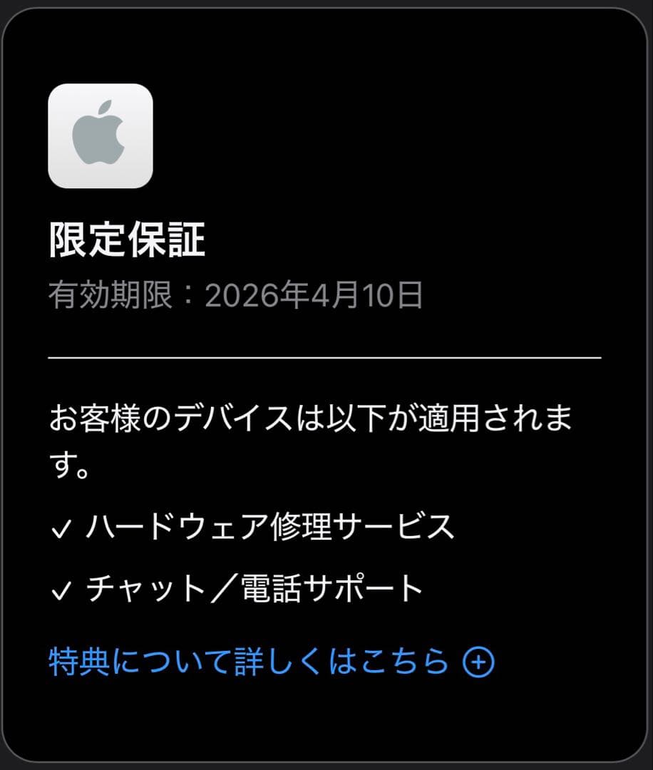 Apple iPad Pro M4 13インチ 1TB