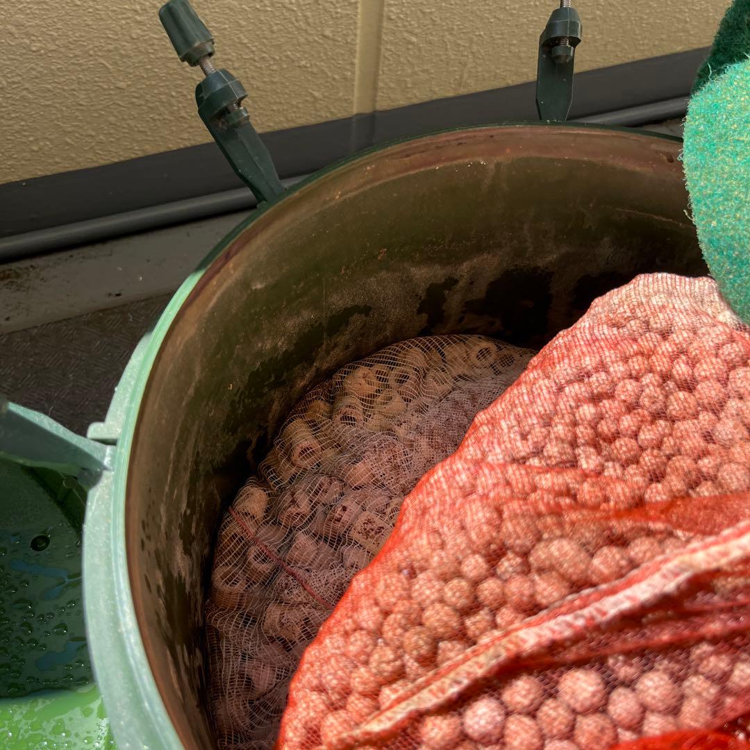 エーハイム2250 60Hz