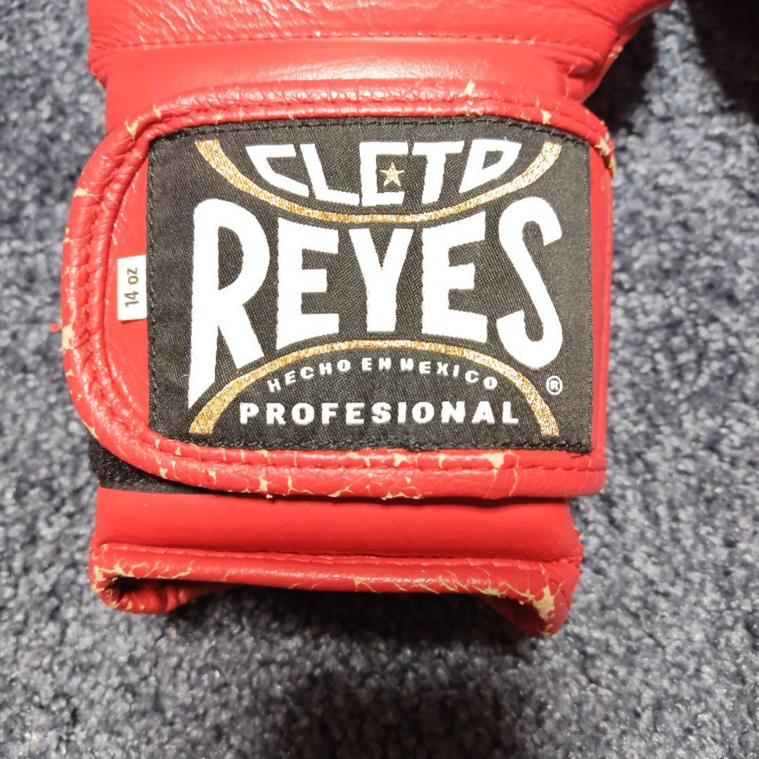 レイジェス14オンス　グローブ