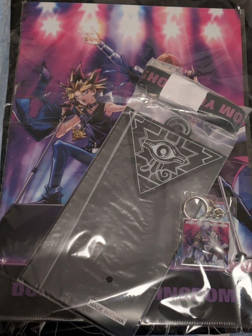 遊戯王25th Duelist Live Kingdom S席チケット特製グッズ