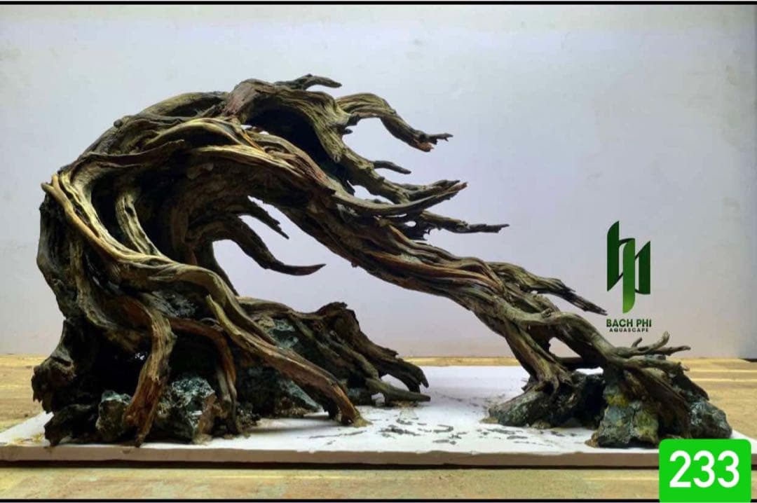 TTD 24160 【⭐︎ きょ様⭐︎】【美品・数量限定】