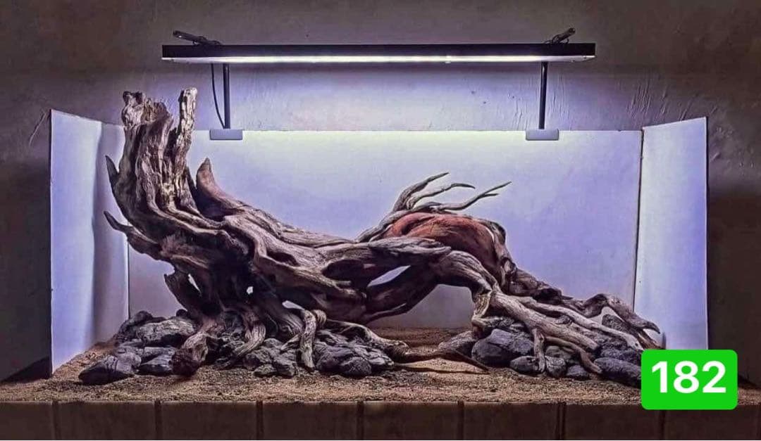 TTD 24160 【⭐︎ きょ様⭐︎】【美品・数量限定】