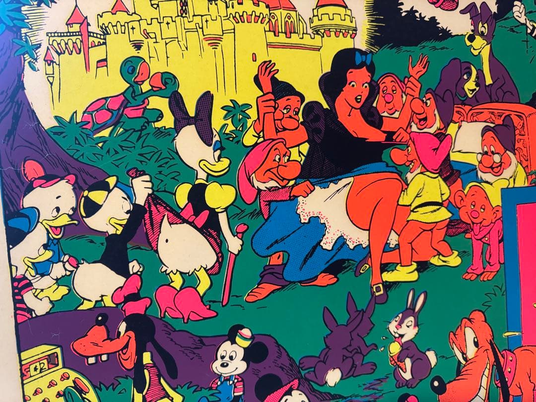 The Disneyland Memorial Orgyポスター