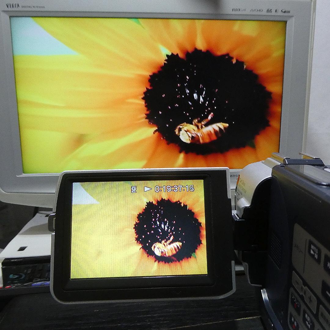 動作品 ソニーDCR-TRV107 MiniDV ビデオカメラ DVDダビングに