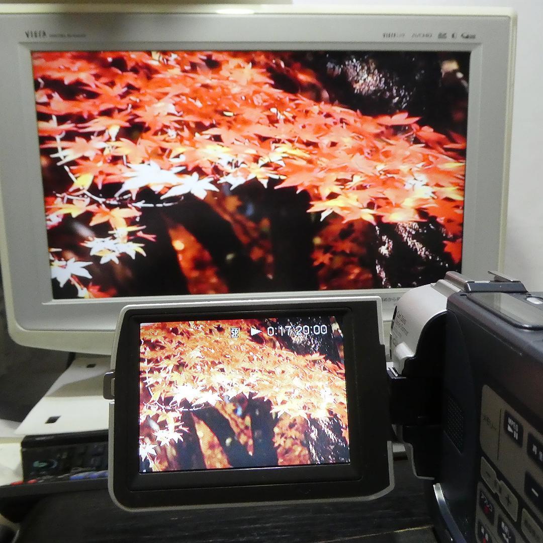 動作品 ソニーDCR-TRV107 MiniDV ビデオカメラ DVDダビングに