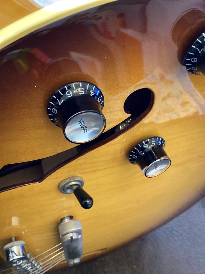 History ZSA-CFS セミアコ　日本製　フジゲン製　ギター