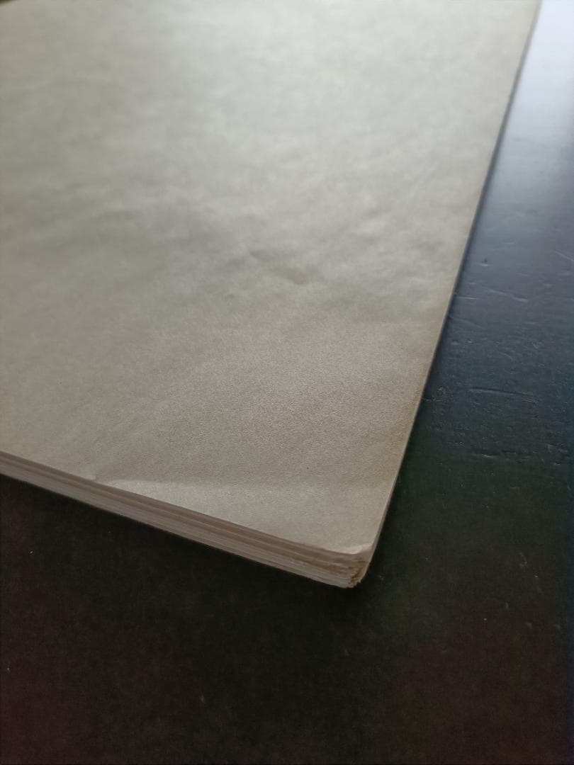 COMIC JUNGLE 複製原画集19枚セット