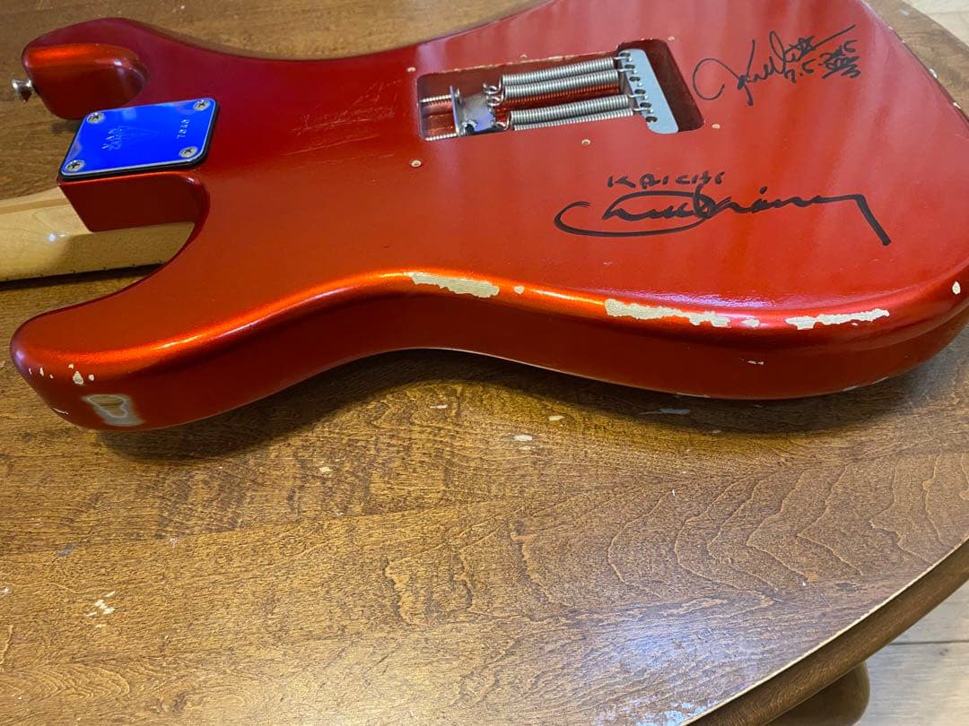 ギター vanzandt stv-r1