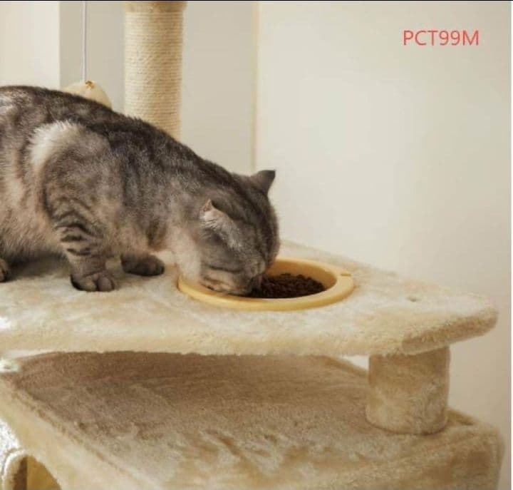 大型サイズ　キャットタワー　爪とぎ柱 大型猫 運動不足対応 多頭飼い