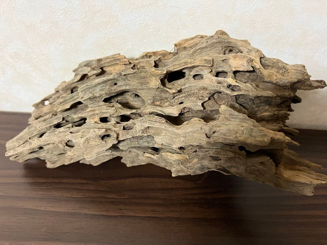 (XM-118)流木　マシンガンウッド　アクアリウム　ブランチウッド