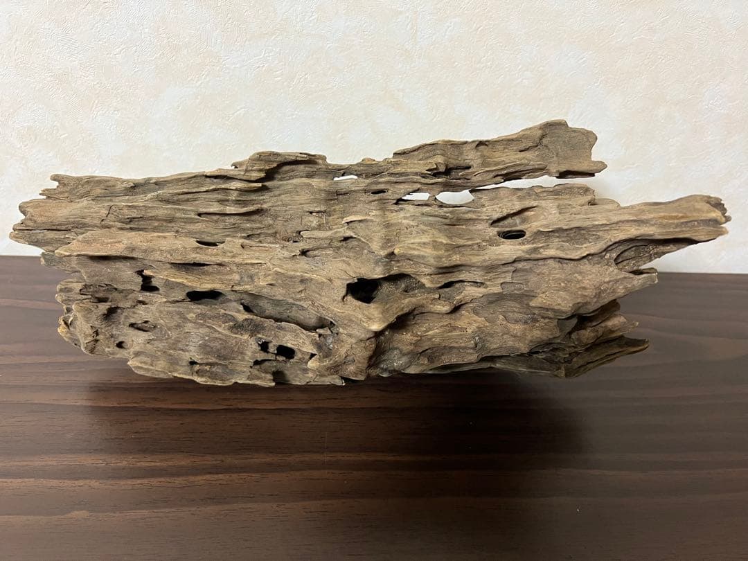 (XM-118)流木　マシンガンウッド　アクアリウム　ブランチウッド