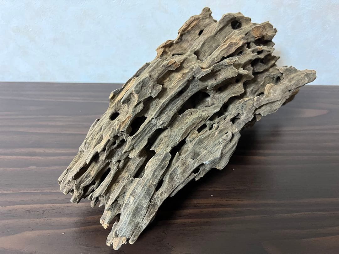 (XM-118)流木　マシンガンウッド　アクアリウム　ブランチウッド