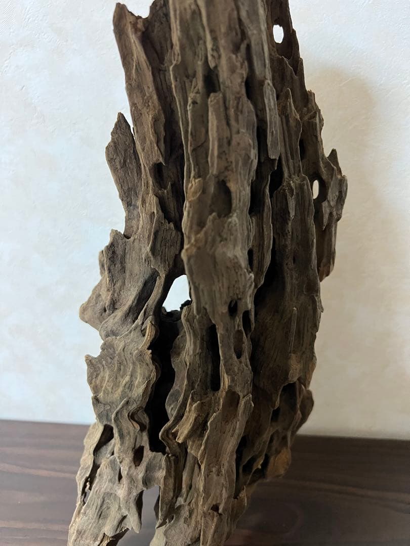 (XM-118)流木　マシンガンウッド　アクアリウム　ブランチウッド