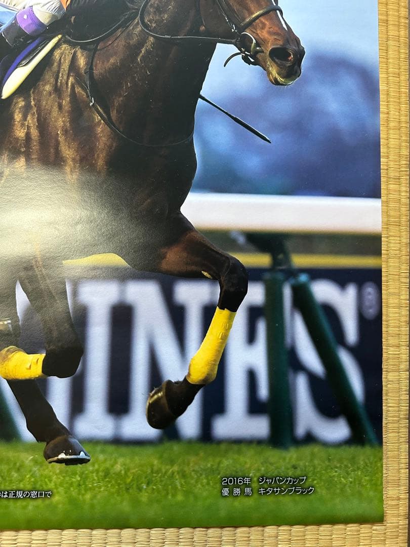 【非売品】競馬　ジャパンカップ ポスター キタサンブラック　武豊　ウマ娘　B1