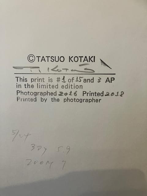 小瀧達郎 （ギャラリーバウハウス主宰）ゼラチンシルバープリント額装なし