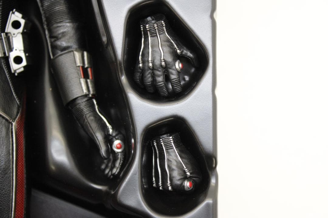 ホットトイズ アントマン 1/6 フィギュア 29-MA0929-08