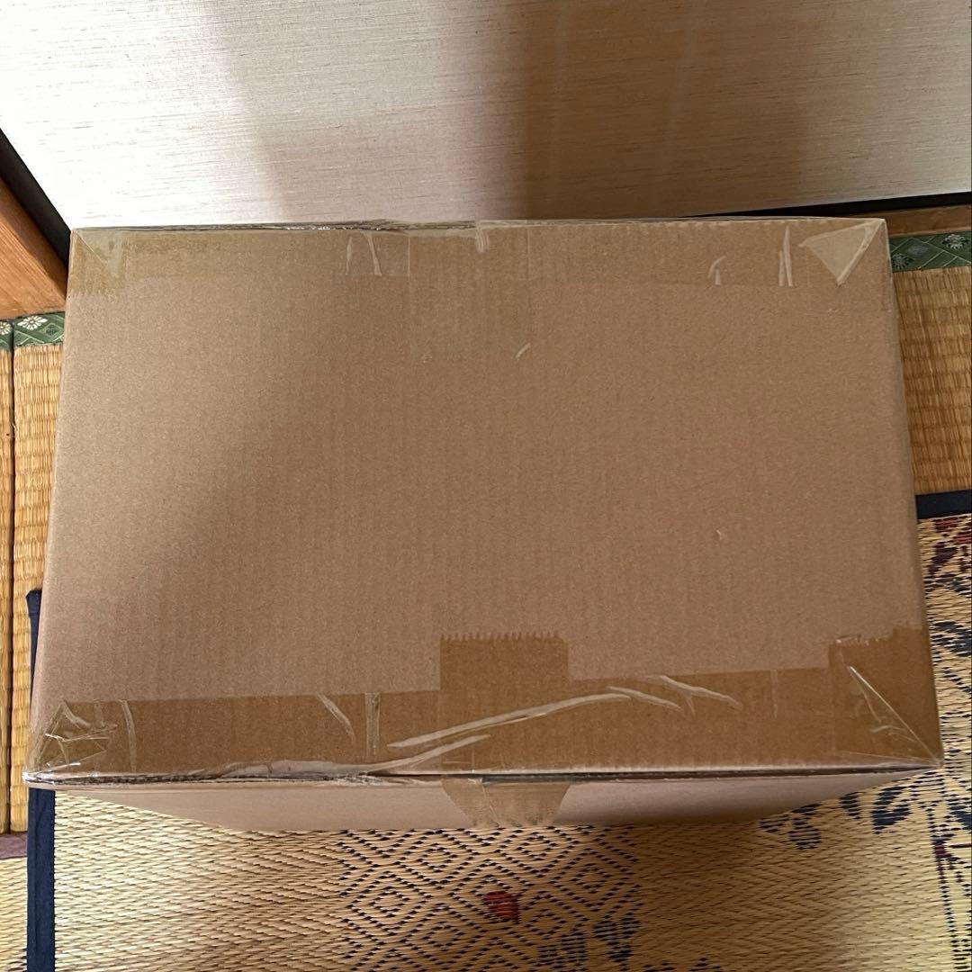 少年リック限定 東宝30cmシリーズ 酒井ゆうじ造形 ゴジラ 2016 覚醒