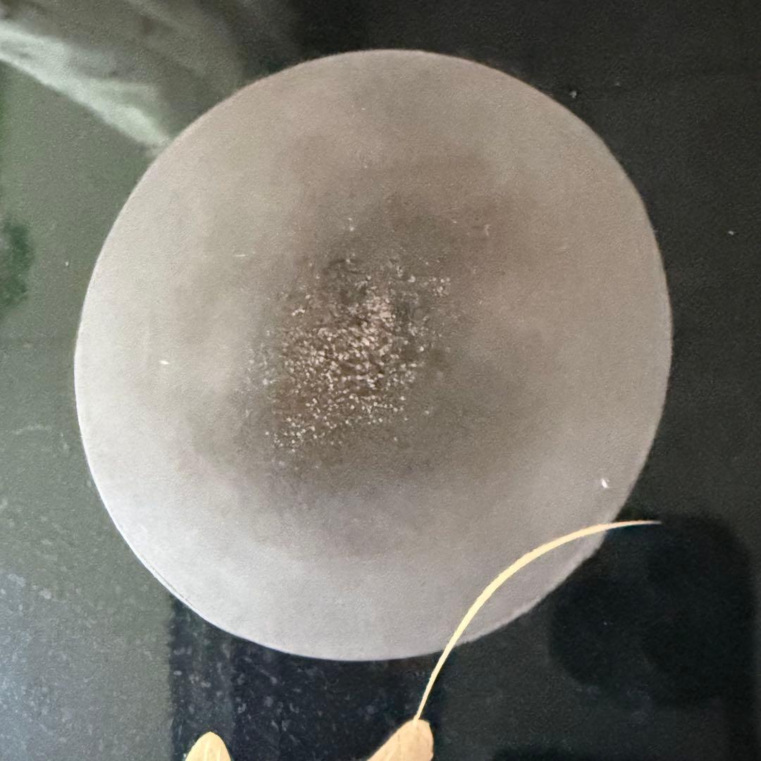 2200様感謝‼️秋の風雅‼️JAPAN 研出蒔絵 『銀月』絵替八寸膳十客木箱