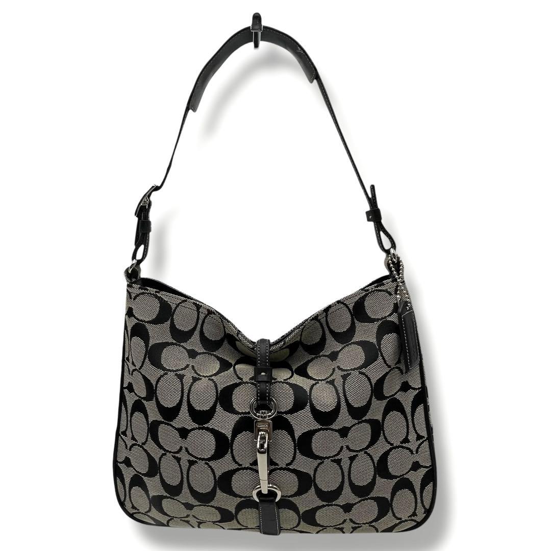 ✨希少✨COACH ワンショルダーバッグ アクセサリーポーチ シグネチャー