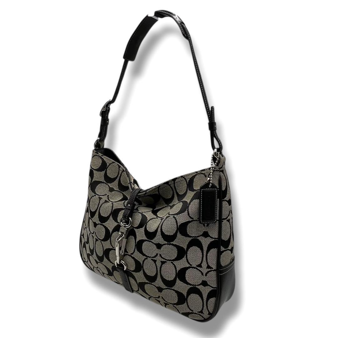 ✨希少✨COACH ワンショルダーバッグ アクセサリーポーチ シグネチャー