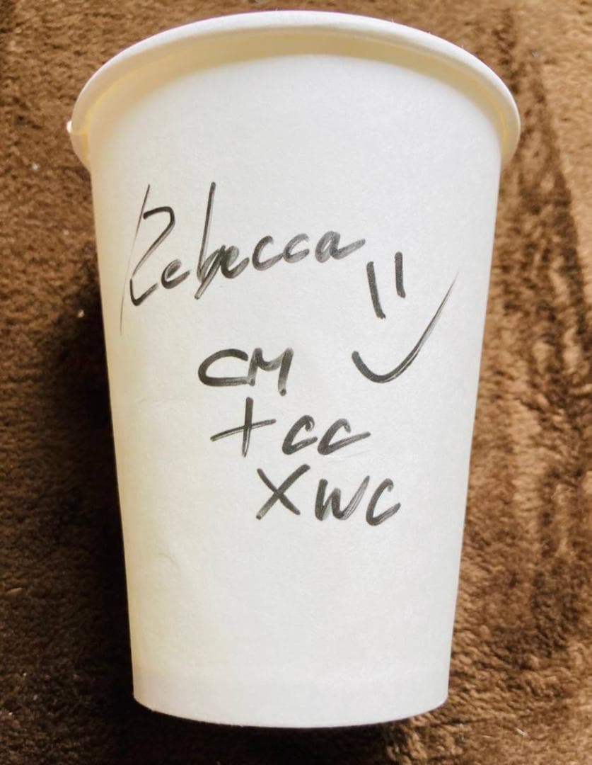 非売品 バイオハザード デスアイランド シール & コップ & ライト 他 7点